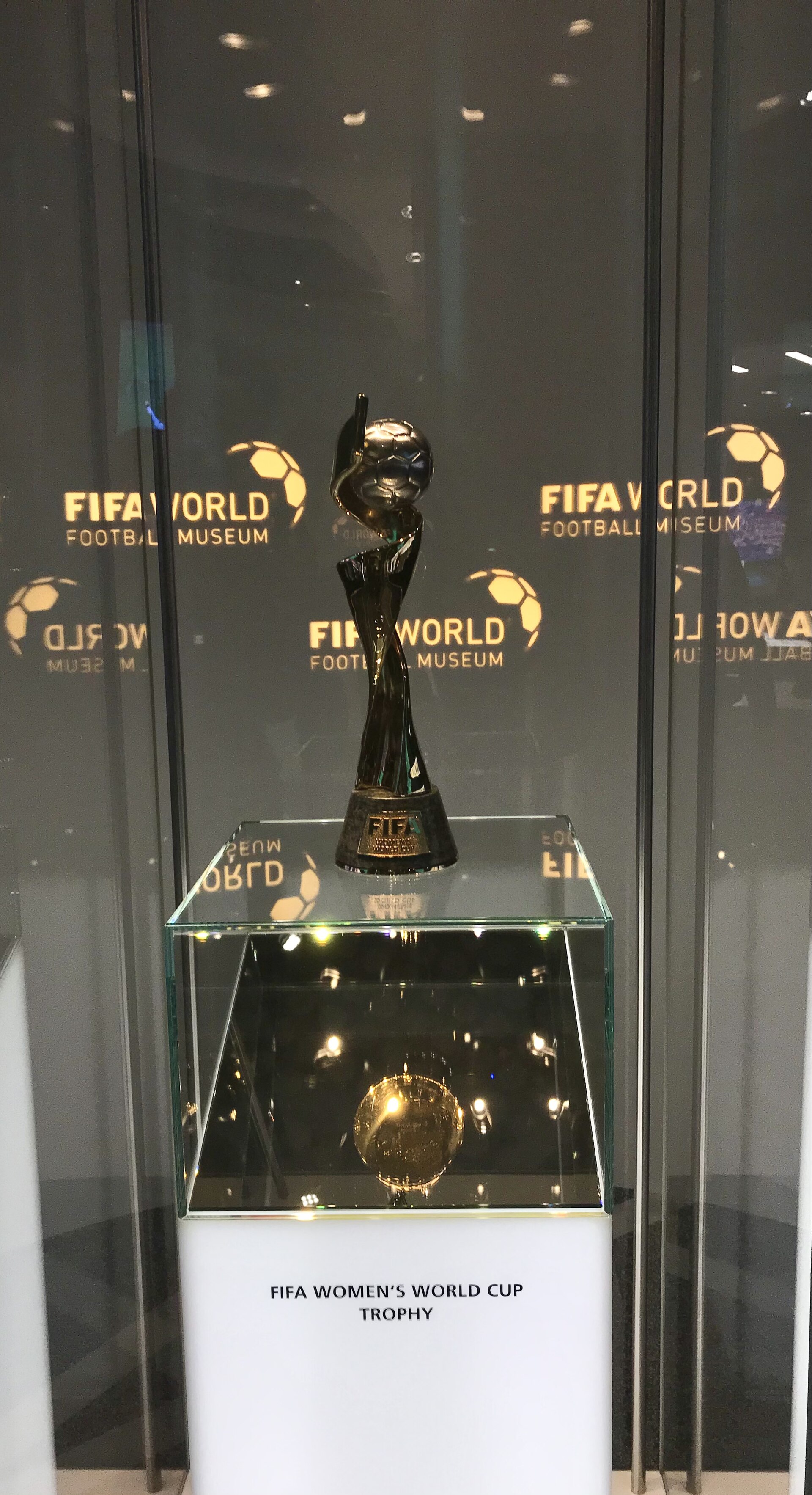 德尚：没有什么高于世界杯 我会想念法国队 它是我生命的一部分